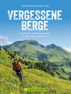 cover image of Vergessene Berge